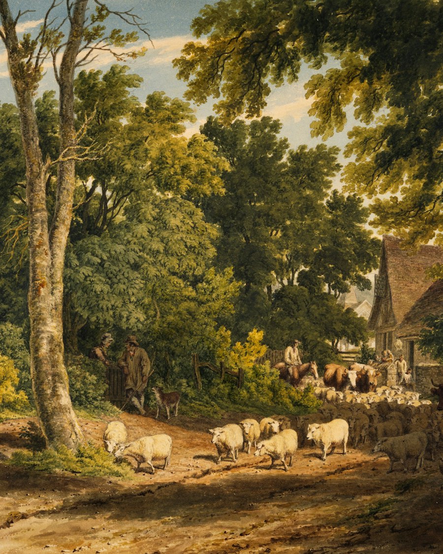 Landscape oil study